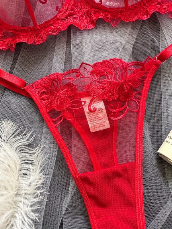 Close-Up of Red Lace Intimates - Embroidery Detail on Lingerie Set