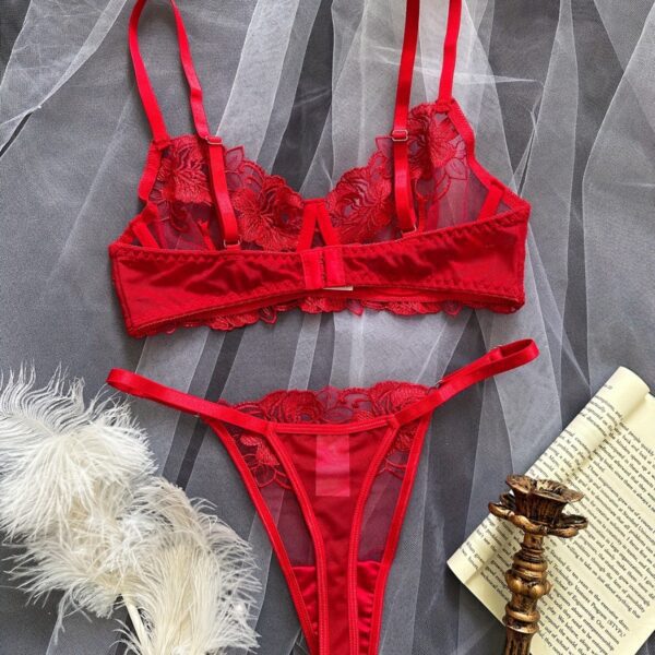 Soft and Sheer Lingerie - Laydown View Red Lace Bra and Panty