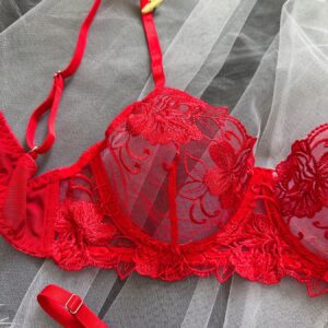 Delicate Lace Patterns - Laydown Close-Up of Red Embroidered Lingerie